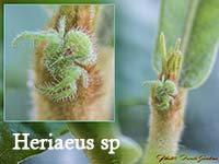Plants: image 12 0f 12 thumb